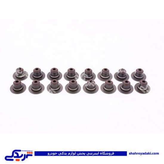 ال 90 لاستیک سوپاپ دینا پارت دست 16 عددی 2202039 L90 ( عمده )