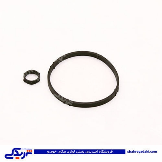 پژو اورینگ پایه فیلتر روغن 206 کامل دینا پارت 1602022