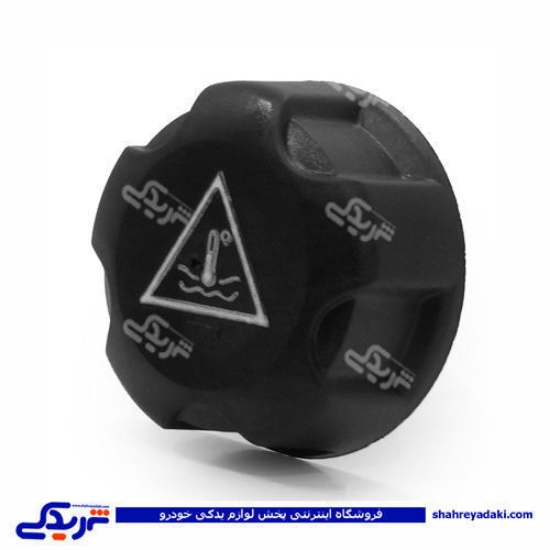 پژو درب مخزن انبساط 206 ایساکو 1701400399