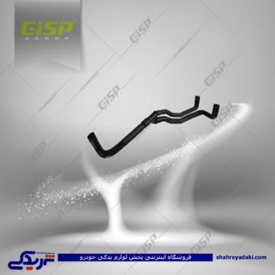 پژو شیلنگ 405 بخار روغن دوقلو GISP 478021