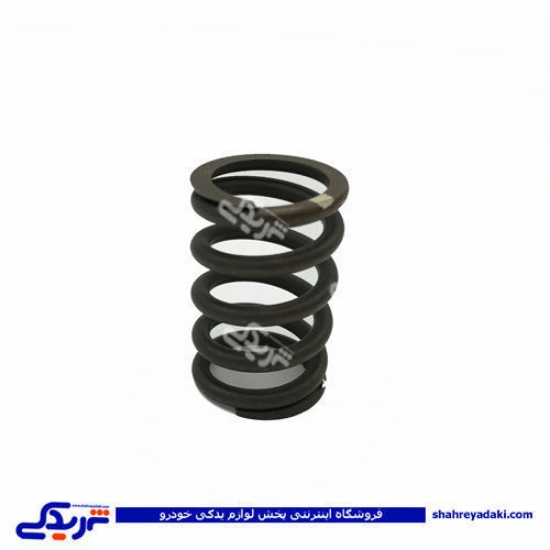 پژو فنر سوپاپ 405 دینا پارت 1202060