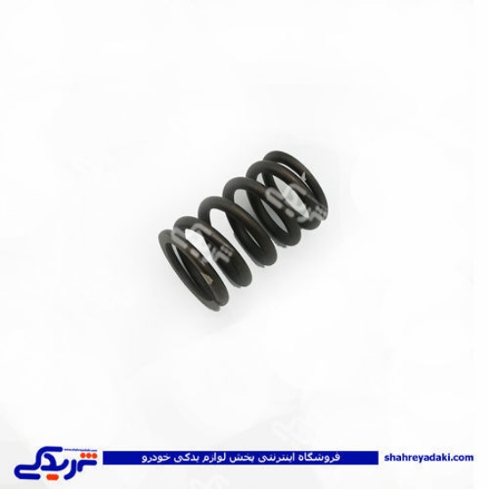 پژو فنر سوپاپ 405 دینا پارت 1202060