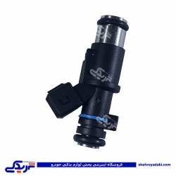 پژو سوزن انژکتور 206 تیپ 2 و پیکان فرانتک FERANTEC 421295