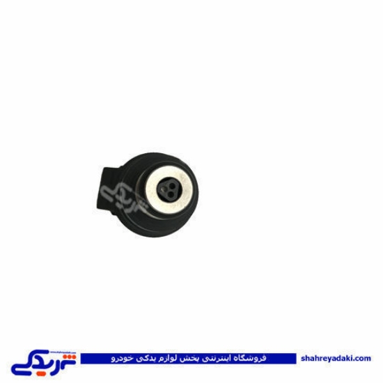 پژو سوزن انژکتور 405 تپل ساژم والئو دینا پارت 1202279