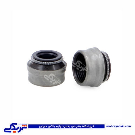 پژو لاستیک سوپاپ 405 ویژن 1707008