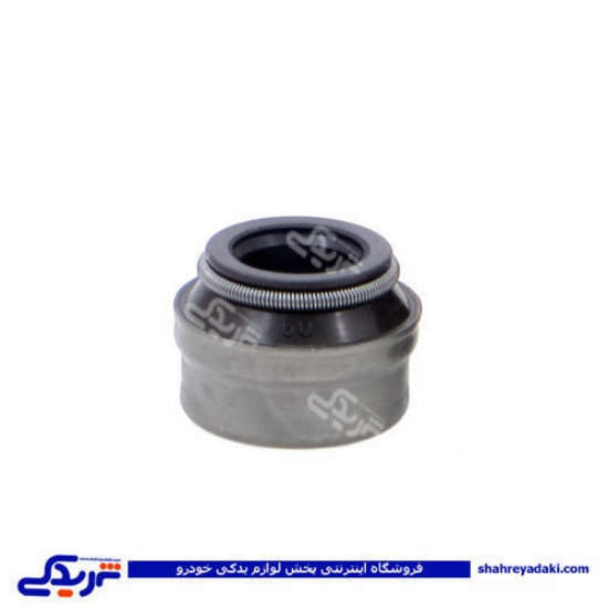 پژو لاستیک سوپاپ 405 ویژن 1707008