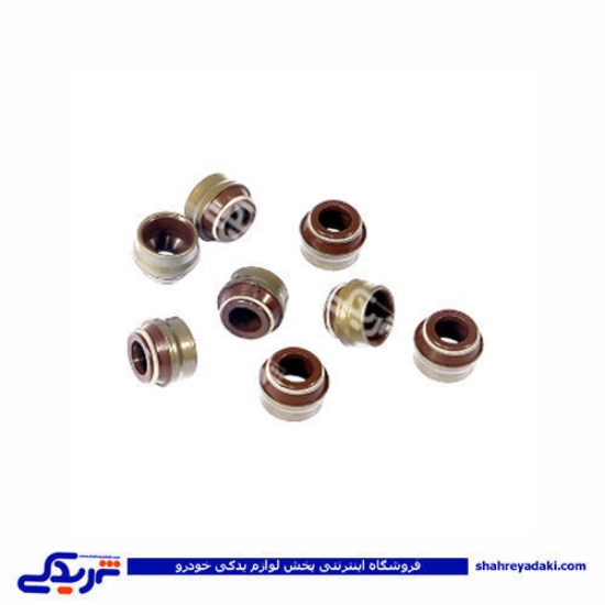 پژو لاستیک سوپاپ 405 ویژن 1707008