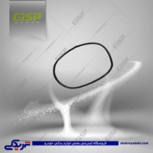 پژو نوار درب صندوق عقب 206 SD GISP 264618