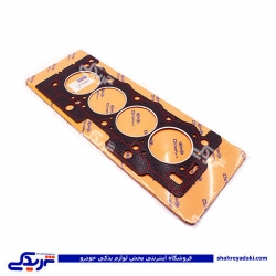 پژو واشر سرسیلندر 206 T2 دو سوراخ دینا پارت 1602009