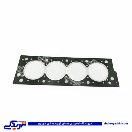 پژو واشر سرسیلندر 405 2 سوراخ کیک KIK مولتی 9000129014