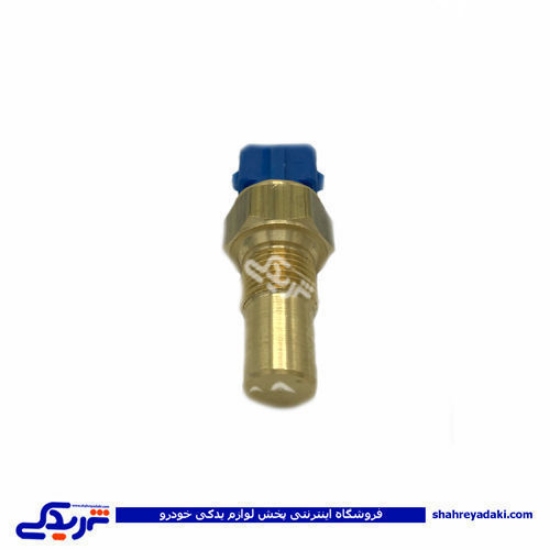 پژو مهره آب 405 تک فیش آبی ایساکو 920101099