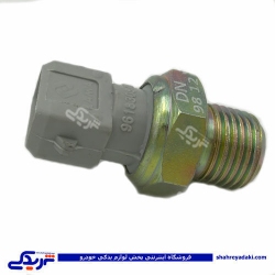 پژو مهره روغن 405 ایساکو 920300799