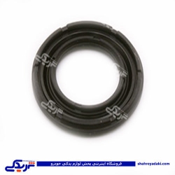 پژو کاسه نمد ژامبون (اکسل عقب) 206 cbs 5250