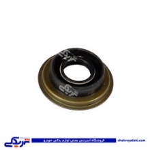 پژو کاسه نمد ماهک دنده 405 CBS 900