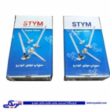 ریو سوپاپ ساوه 9000304014