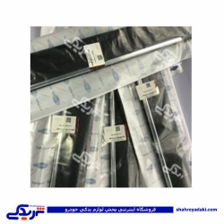 پژو زه درب پارس عقب راست دینا پارت 1705045