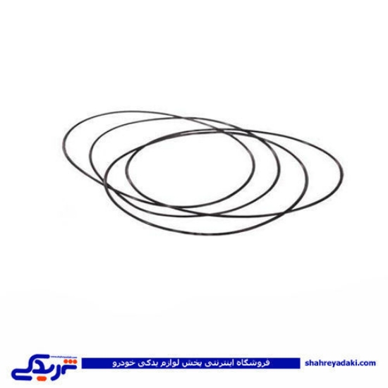 پژو اورینگ بوش پیستون 206 دینا پارت 1602071