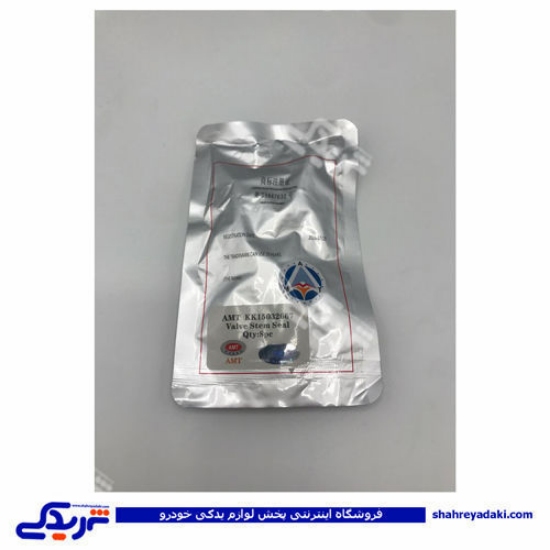 پراید لاستیک سوپاپ AMT طرح ویژن 9000251085