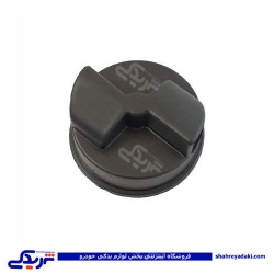پژو درب باک داخلی 405 ایساکو 1700200499