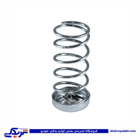 پژو فنر پلوس 405 9000803221