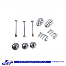 پژو میخ و پولک کفشک 405 و سمند آذین 9000562135