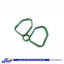پژو واشر منیفولد 405 سبز عینکی CNG دینا پارت 1202236