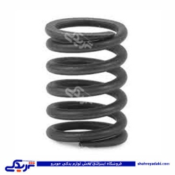 فنر سوپاپ آونجری پیکان ایساکو 1210502399