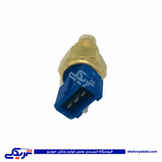 پژو مهره آب سه فیش آبی آردی RD ایساکو 920102705