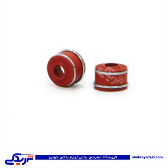 تصویر  لاستیک سوپاپ 2 فنره پیکان CBS 202cbs