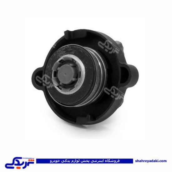 پژو درب رادیات 405 و سمند ایساکو 1700501104