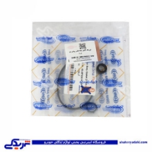 پژو اورینگ پایه فیلتر روغن 206 کامل دینا پارت 1602022