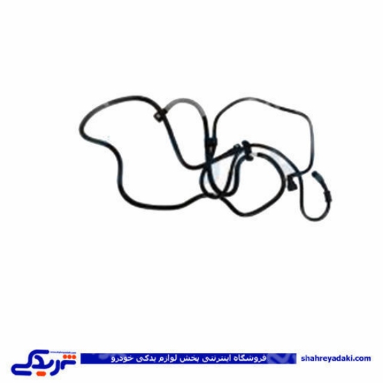 پژو شیلنگ بنزین دوقلو ریل سوخت 207 دوستان 16606469