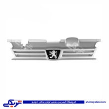 پژو جلو پنجره 405 9000301209