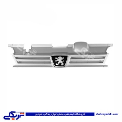 پژو جلو پنجره 405 9000301209