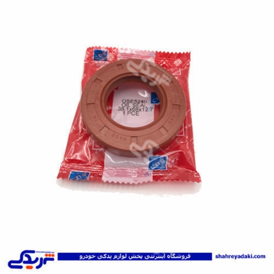 کاسه نمد پینیون آریسان cbs 5240