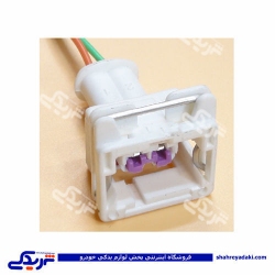 پژو سوکت سفید 2 فیش 405 9000143224
