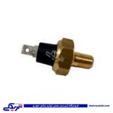 پژو مهره روغن 53 تک فیش و آردی RD سامفر 1133204