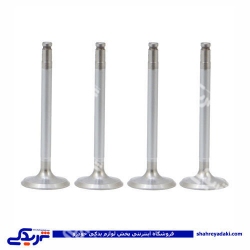 سوپاپ موتور EVL پیکانی تعمیر اول 9000303005