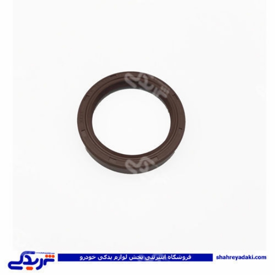 پژو کاسه نمد عقب گیربکس آریسان 9000403020