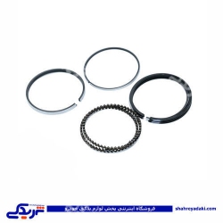 پژو رینگ موتور روآ ROA سایز 20 RIK 40107/20