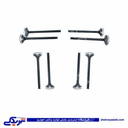 پژو سوپاپ موتور 206 تیپ 2 مارک EVL 9000303003