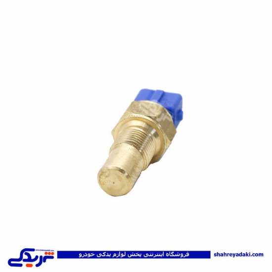 پژو مهره آب 405 تک فیش آبی آماتاصمد 11080018