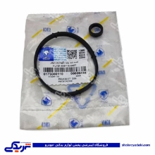 پژو اورینگ پایه فیلتر روغن 206 تیپ 3 ایساکو 173000110