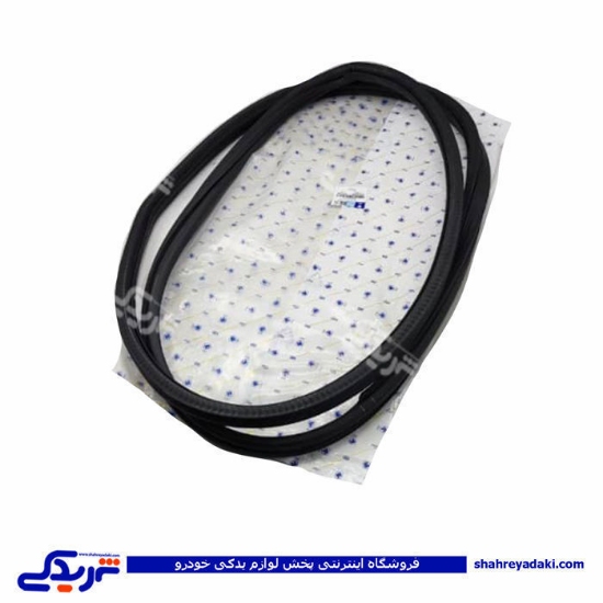 پژو نوار درب جلو راست 206 ایساکو 1820200999