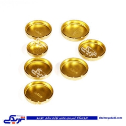 پولک آب دولوکس آهنی قدیمی فدرال موتور FPW751