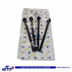 پژو پیچ سرسیلندر 206 (پلمپ) تیپ 2و3 ایساکو ( عمده ) 0401000199