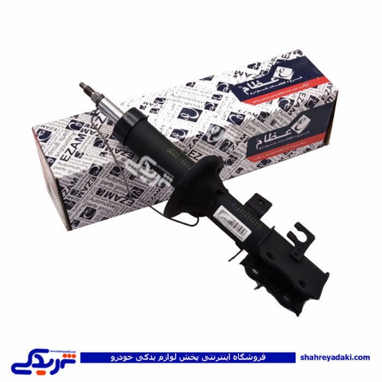 ساینا کمک جلو راست عظام 3183071