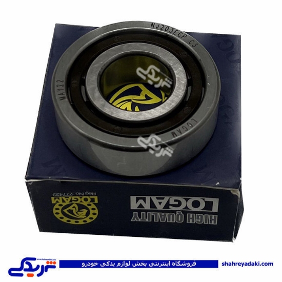 پژو رولبرینگ داخل گلدونی روآ ROA 9000892049