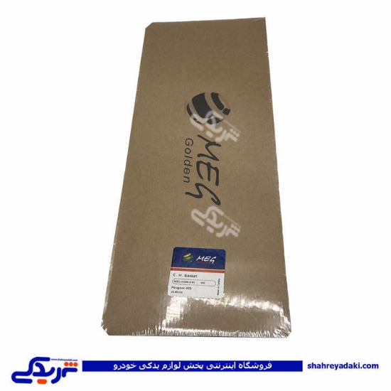 پژو واشر سرسیلندر 405 2 سوراخ MEG 9000240969