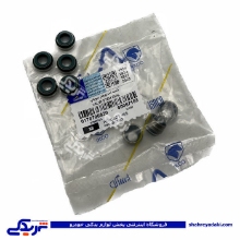 پژو لاستیک سوپاپ 405 ایساکو عددی 0170700820